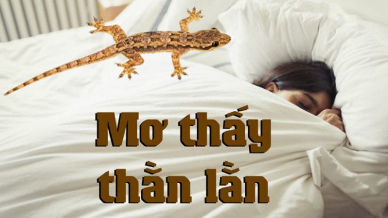 Mơ thấy con thằn lằn đánh số mấy để mau trả hết nợ